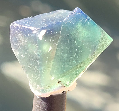 Fluorite- Pocket 42, Diana Maria Mine, Frosterley, Weardale, Co. Durham, England