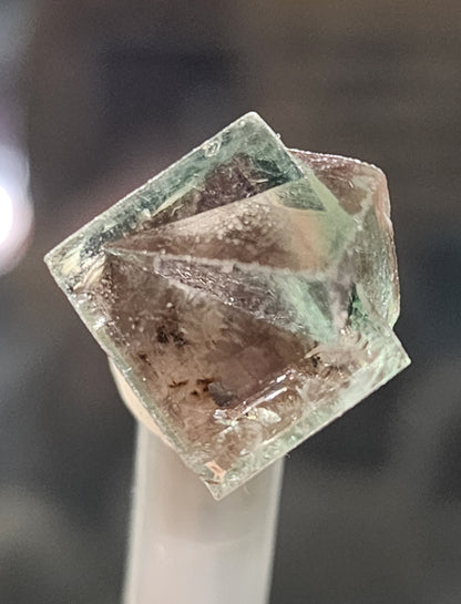 Fluorite- Hidden Forest Pocket, Diana Maria Mine, Frosterley, Weardale, Co. Durham, England