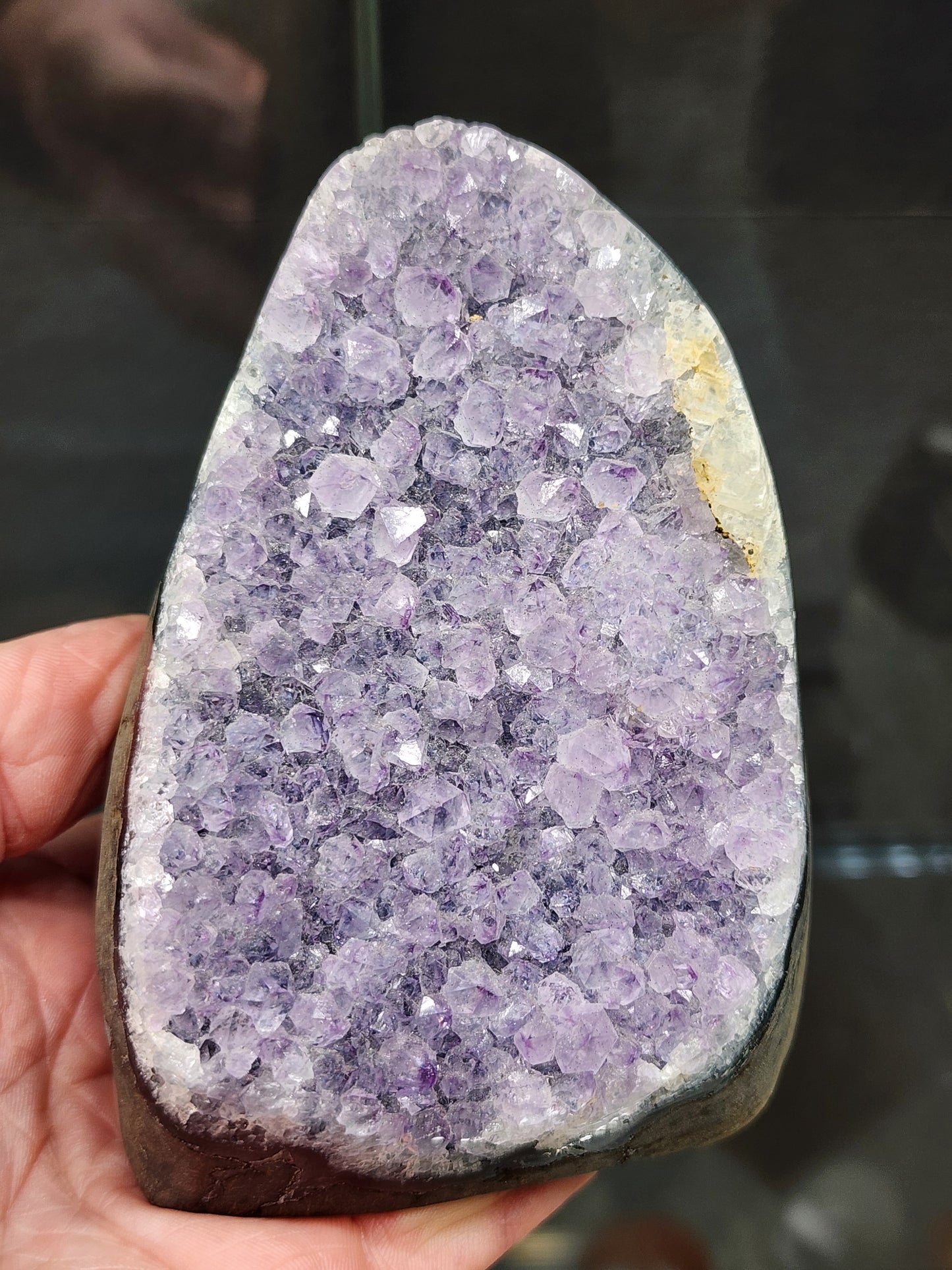 Amethyst Druzy Cut Base - 3.6 inches