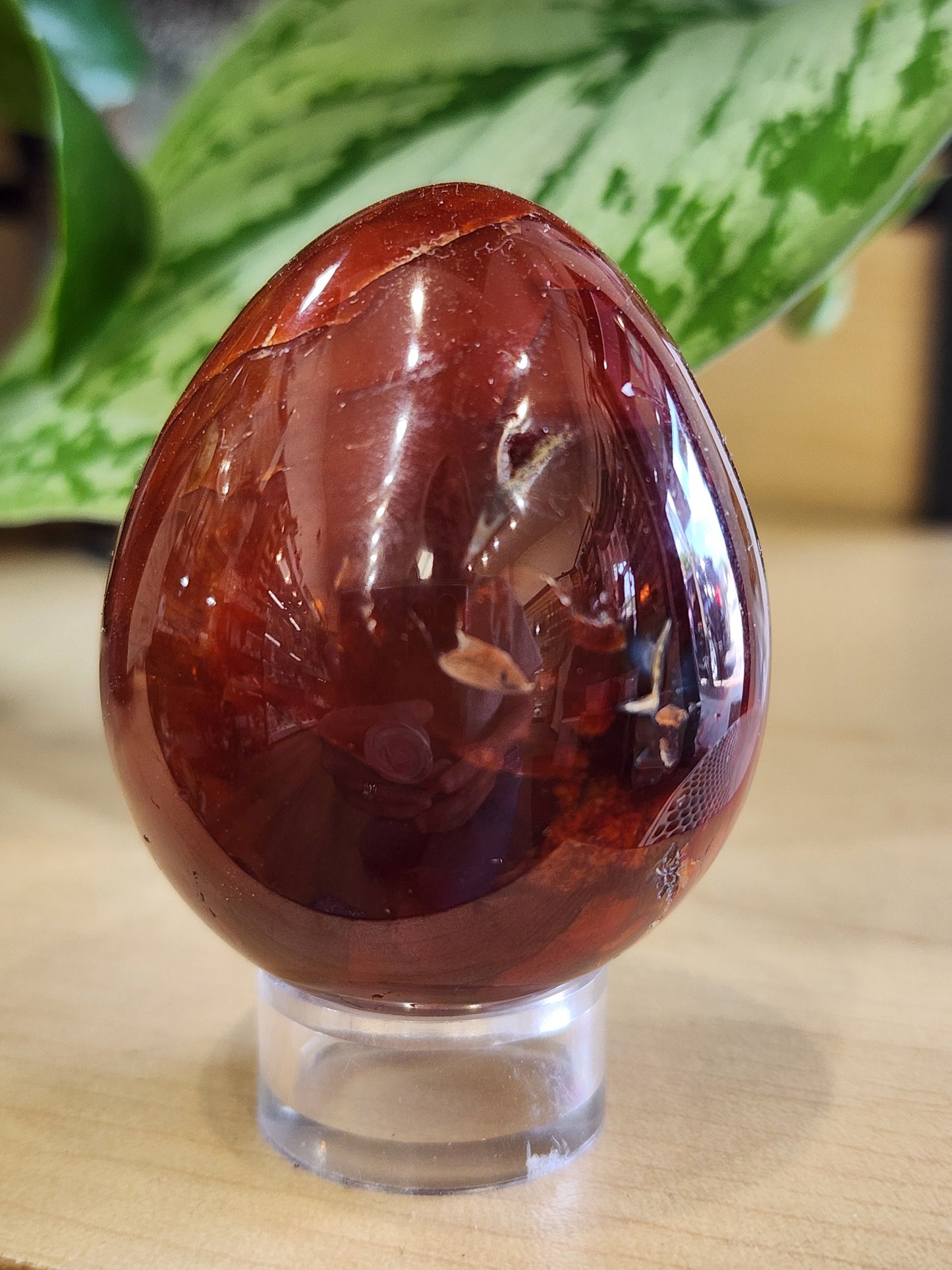 Carnelian Egg, Brazil 2025
