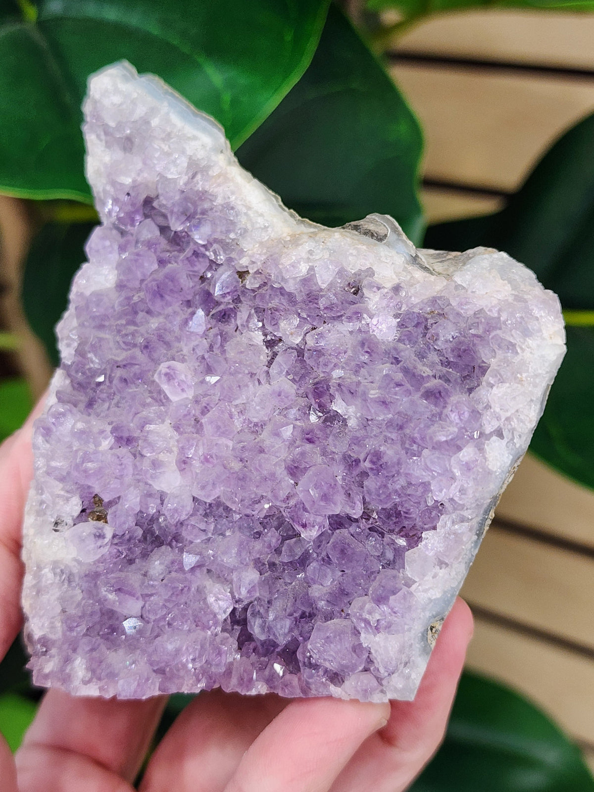 Amethyst Druzy Cut Base - 3.5 inches