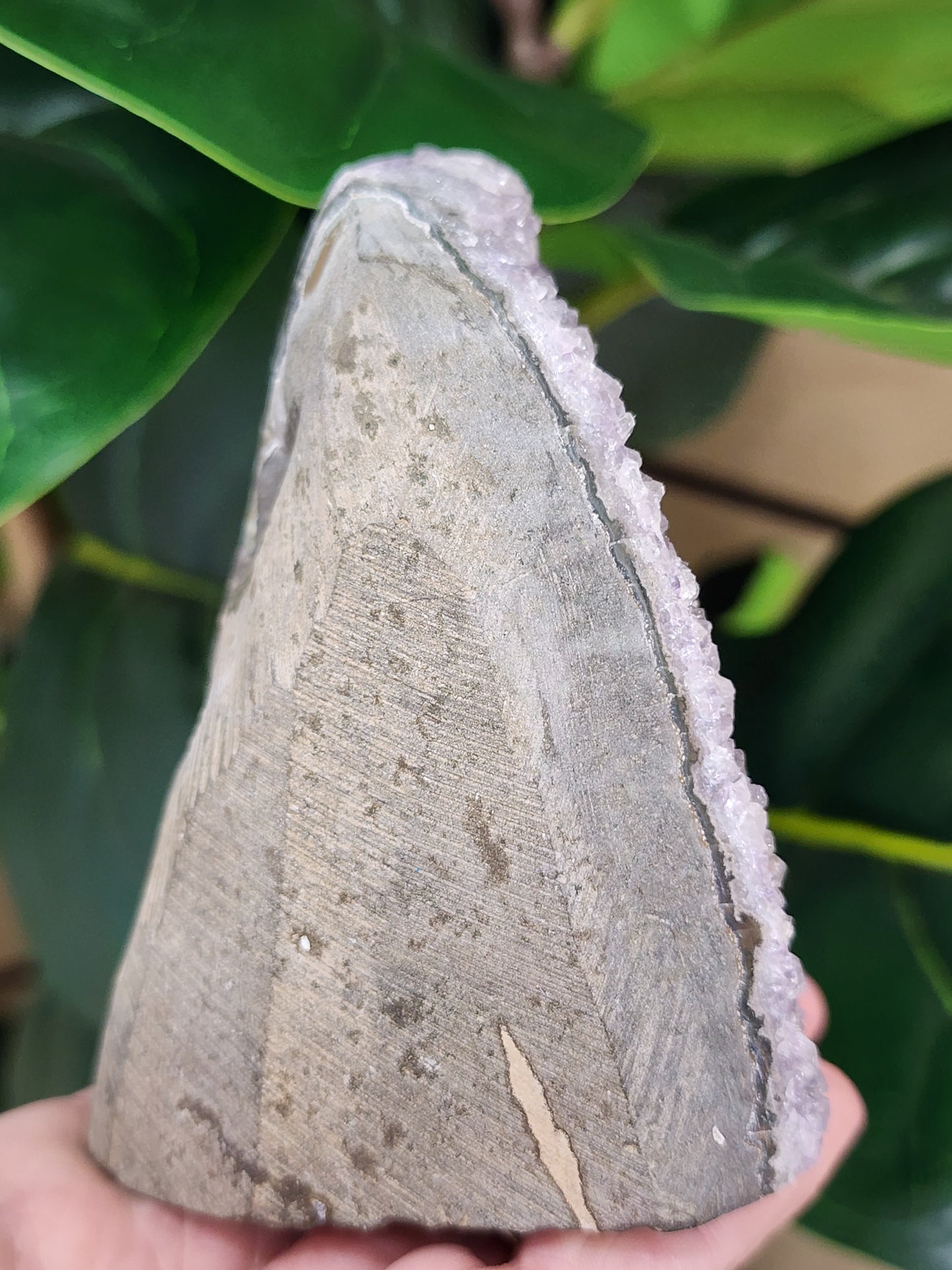 Amethyst Druzy Cut Base - 3.7 inches