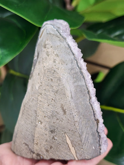 Amethyst Druzy Cut Base - 3.7 inches