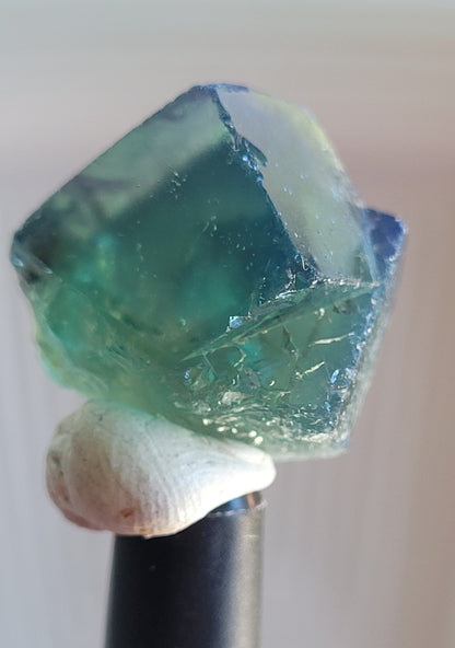 Fluorite- Pocket 42, Diana Maria Mine, Frosterley, Weardale, Co. Durham, England