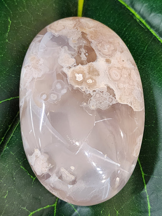 Flower Agate Palm Stone - 2.6"