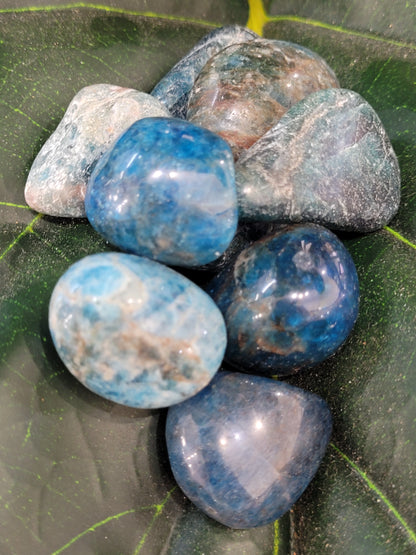 Blue Apatite Tumble