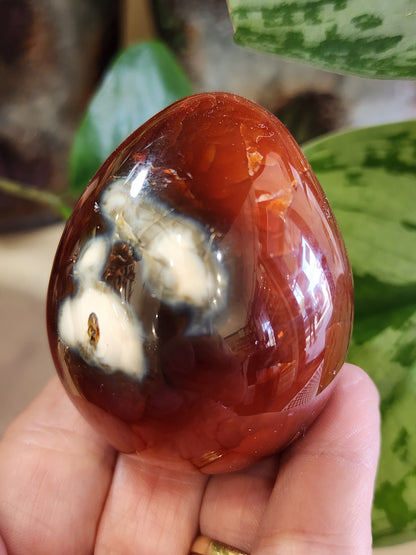 Carnelian Egg, Brazil 2025