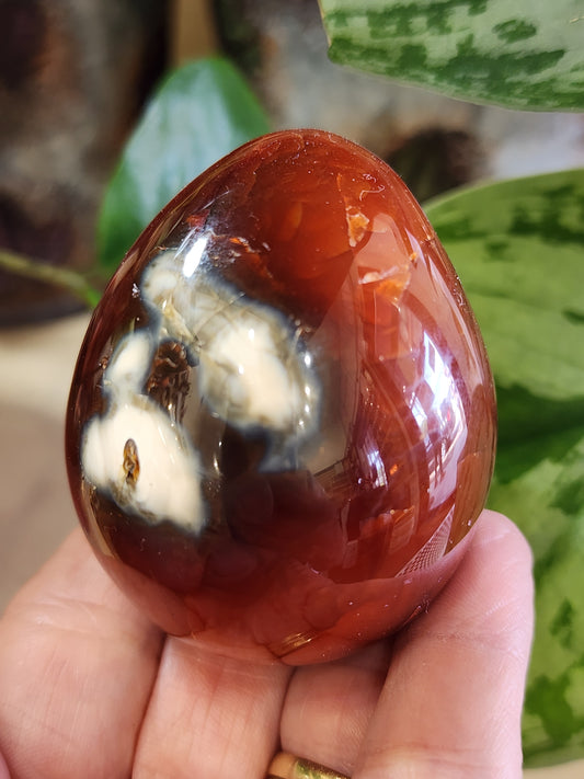 Carnelian Egg, Brazil 2025