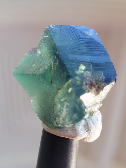 Fluorite- Pocket 42, Diana Maria Mine, Frosterley, Weardale, Co. Durham, England