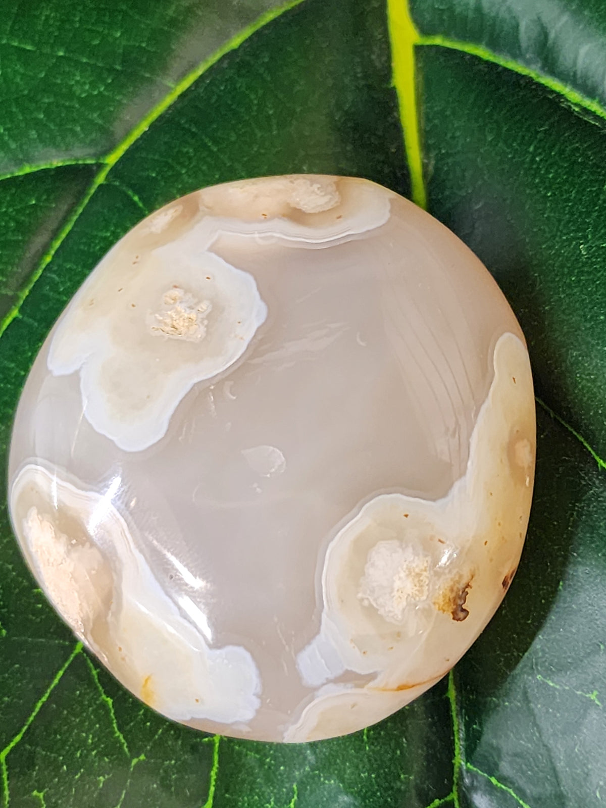 Flower Agate Palm Stone - 2.4"
