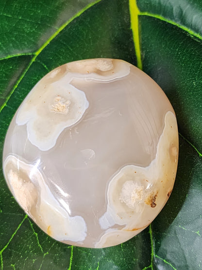 Flower Agate Palm Stone - 2.4"