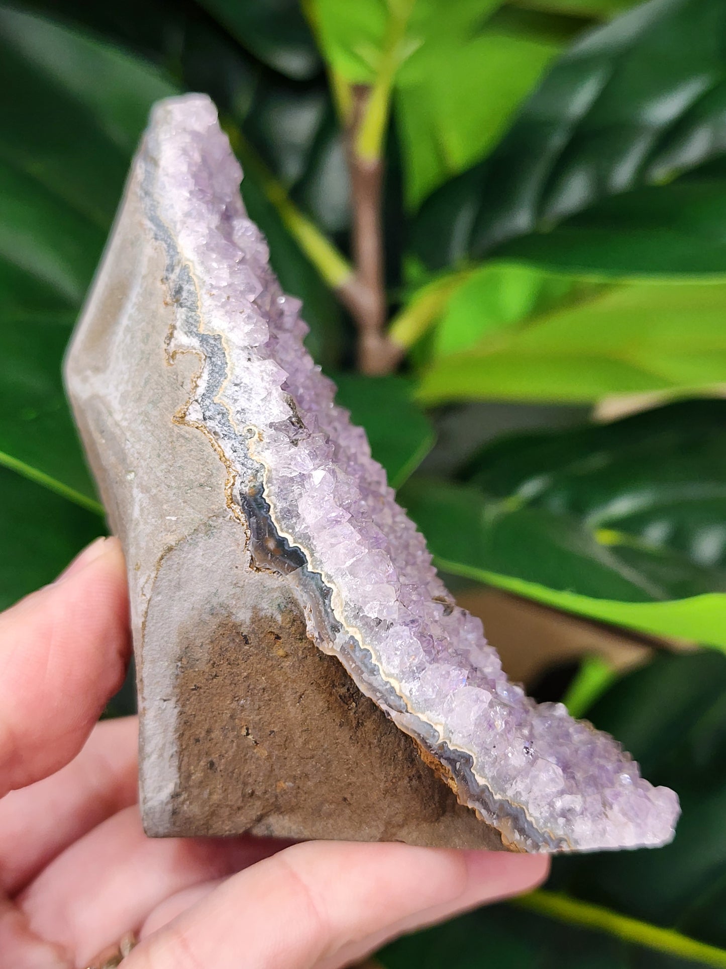 Amethyst Druzy Cut Base - 3.8 inches