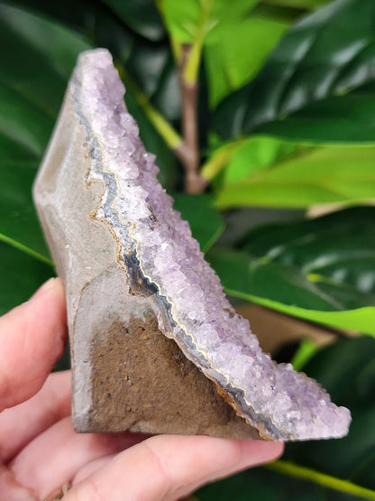 Amethyst Druzy Cut Base - 3.8 inches
