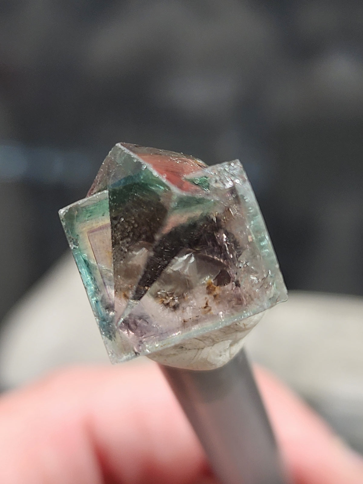 Fluorite- Hidden Forest Pocket, Diana Maria Mine, Frosterley, Weardale, Co. Durham, England