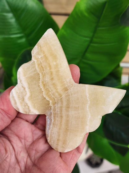 Orange Calcite Butterfly - 3 inches