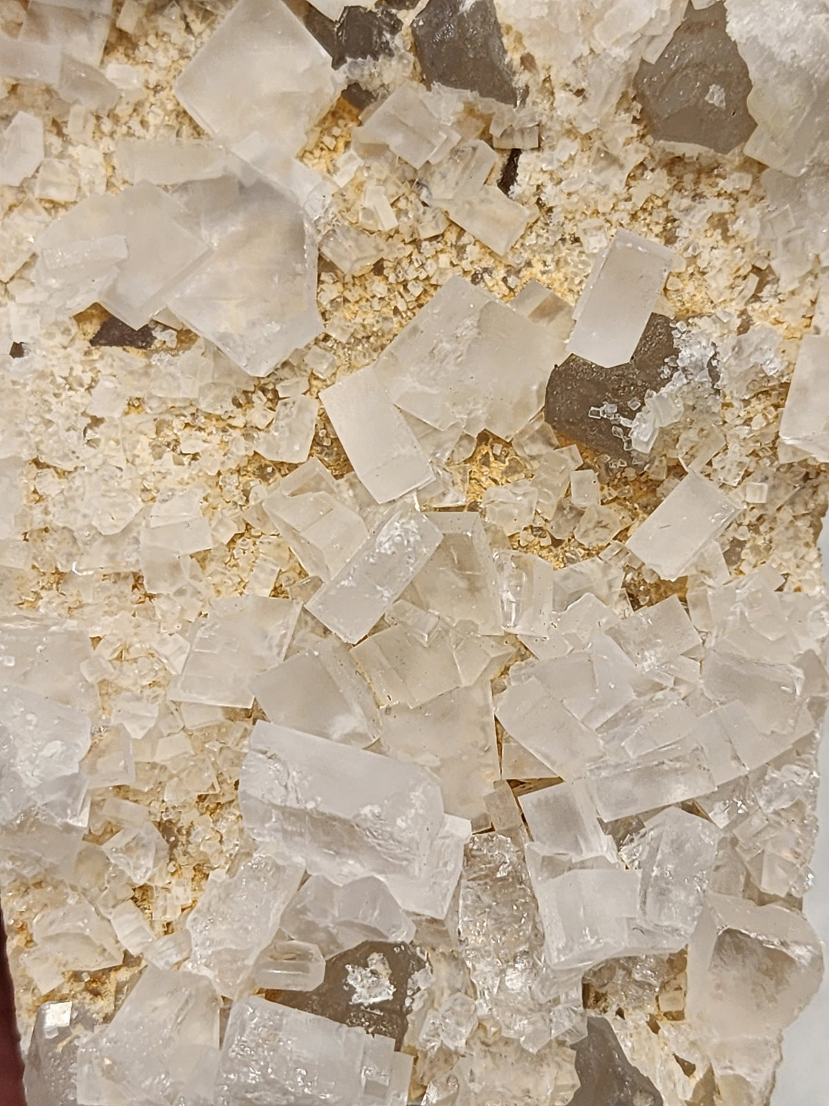 Calcite Dragon Carving - 4.8 inches