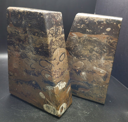 Ammonite and Orthoceras Fossil Bookends