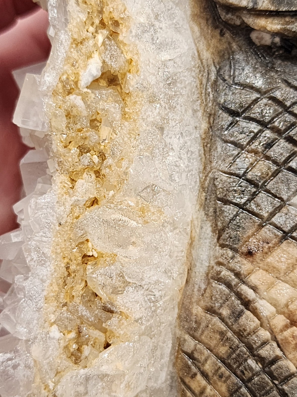 Calcite Dragon Carving - 4.8 inches