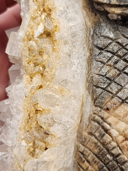 Calcite Dragon Carving - 4.8 inches
