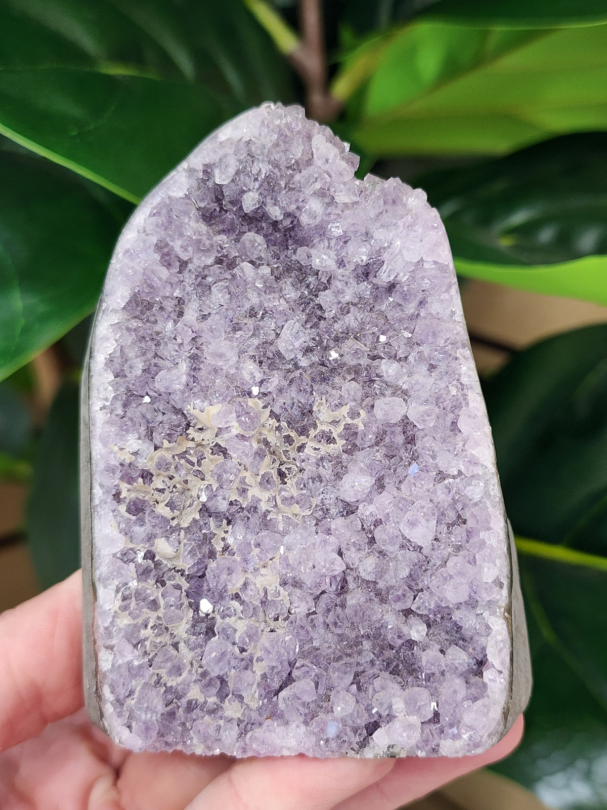 Amethyst Druzy Cut Base - 3.7 inches