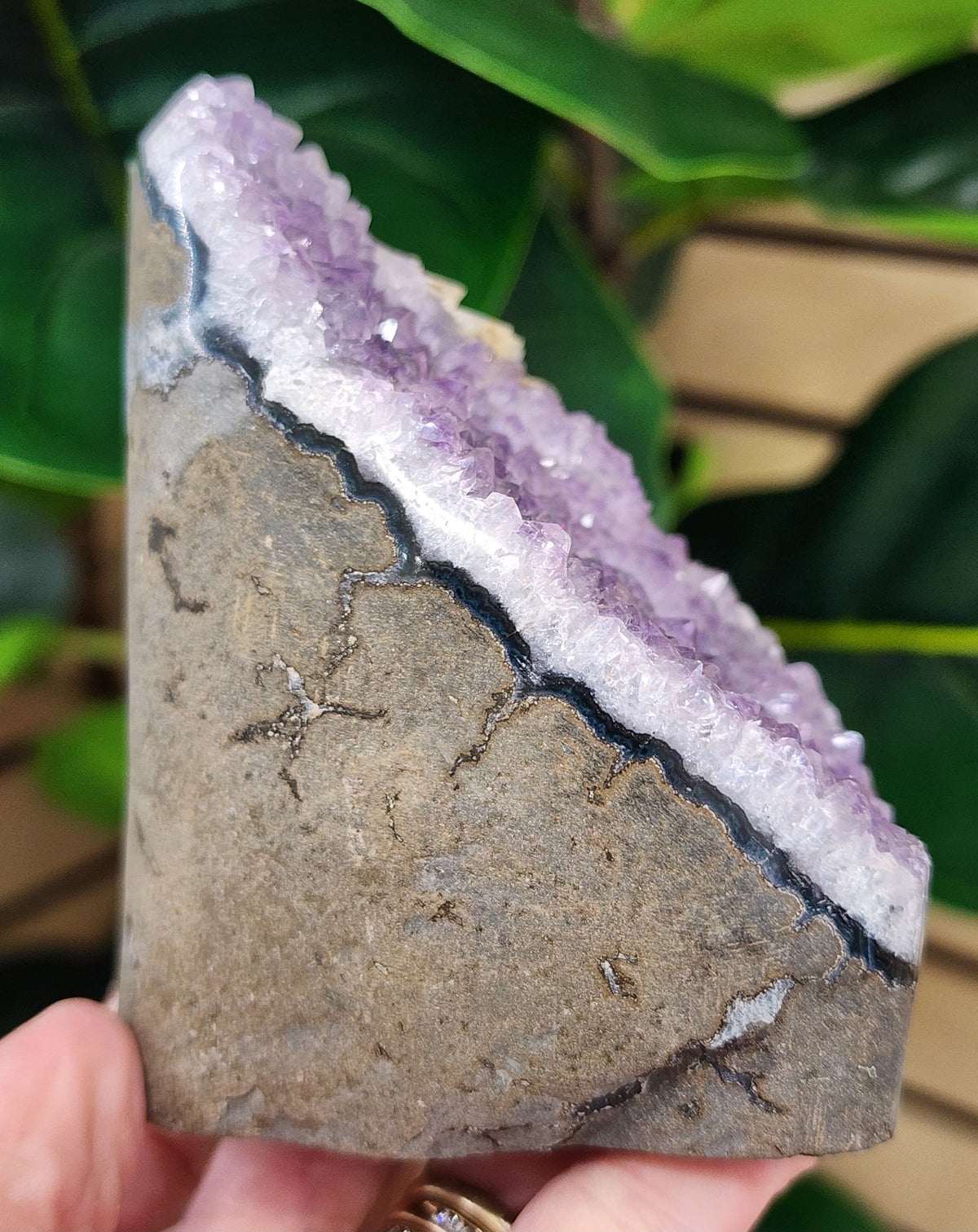 Amethyst Druzy Cut Base - 3.6 inches