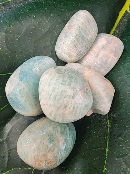 Amazonite Tumbles
