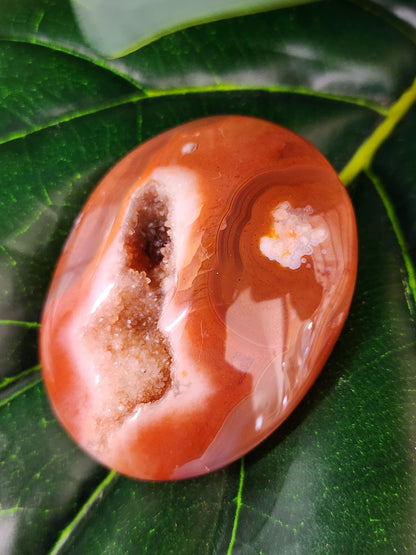 Druzy Carnelian Palm Stone