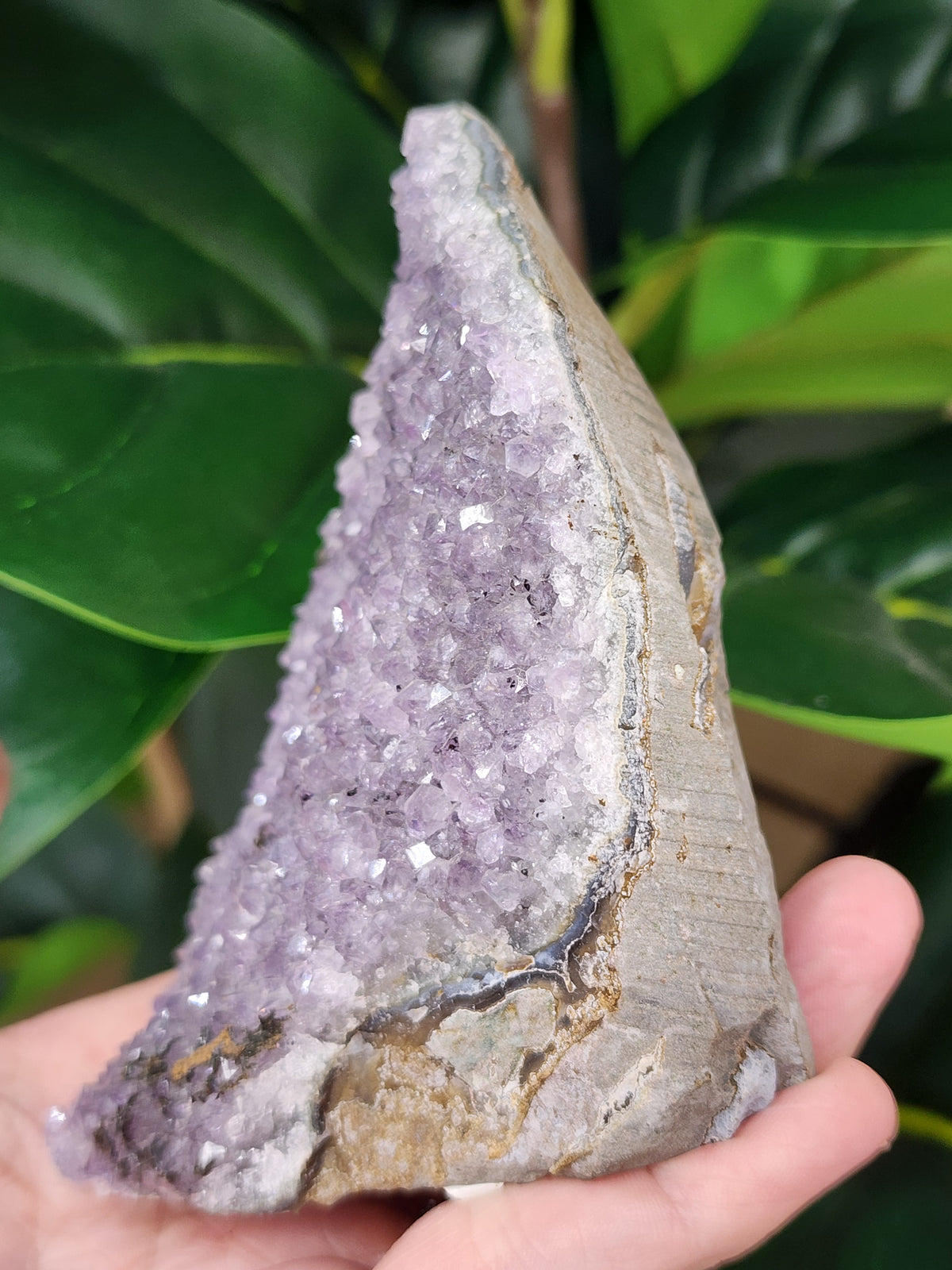 Amethyst Druzy Cut Base - 3.8 inches