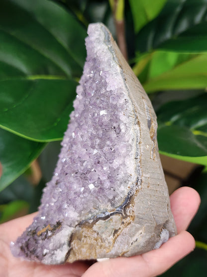 Amethyst Druzy Cut Base - 3.8 inches