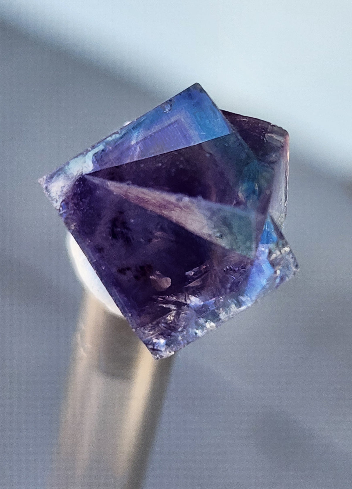 Fluorite- Hidden Forest Pocket, Diana Maria Mine, Frosterley, Weardale, Co. Durham, England