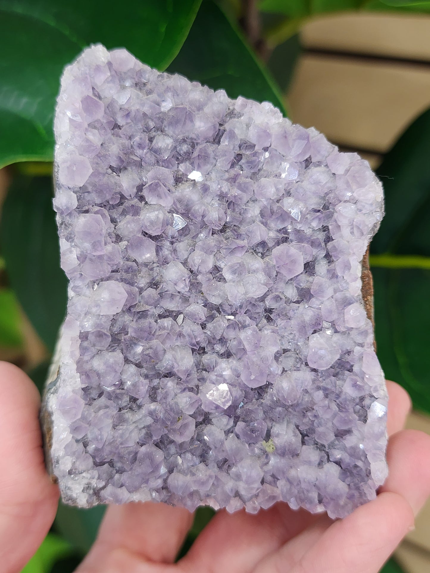Amethyst Druzy Cut Base - 3.2 inches