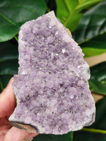 Amethyst Druzy Cut Base - 3.4 inches