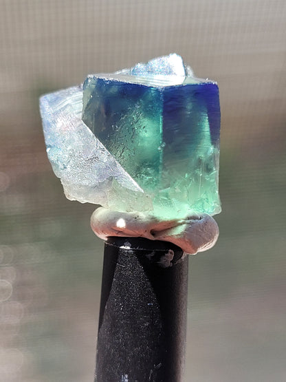 Fluorite- Pocket 42, Diana Maria Mine, Frosterley, Weardale, Co. Durham, England