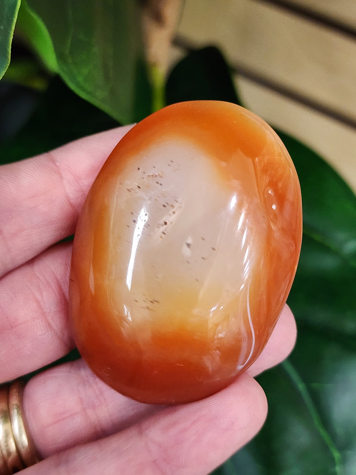 Druzy Carnelian Palm Stone
