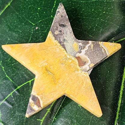 Bumblebee Jasper Star Carving - 1.6"