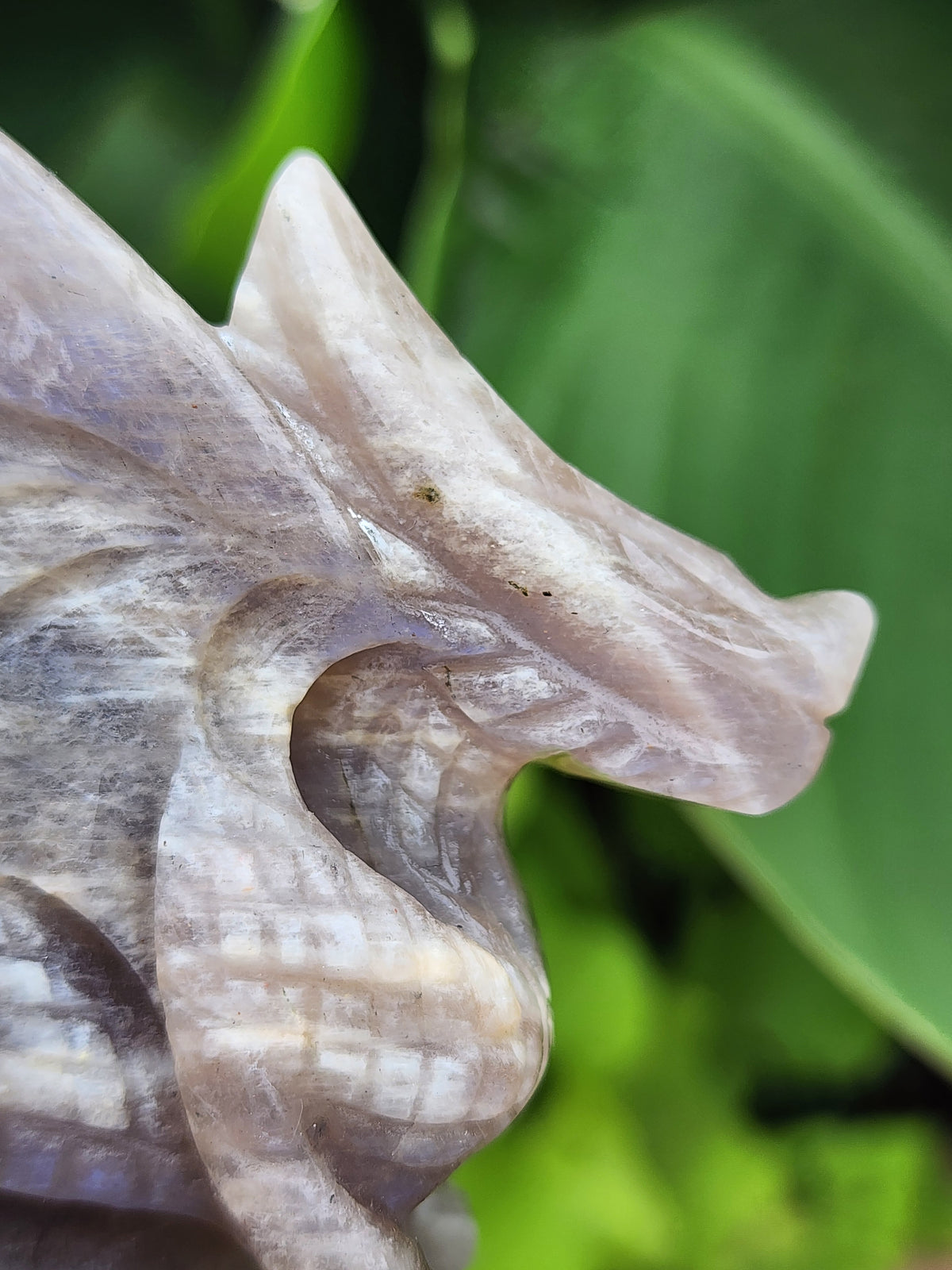 Peach Moonstone Dragon Carving - 3.9 inches