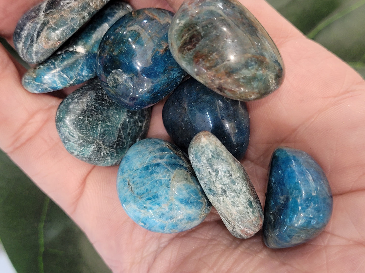 Blue Apatite Tumble