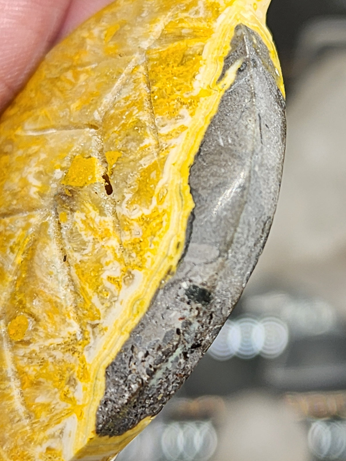 Bumblebee Jasper Leaf Carving - 2.1"