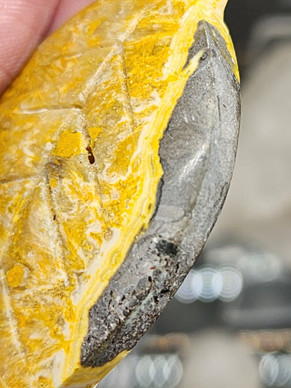 Bumblebee Jasper Leaf Carving - 2.1"