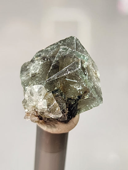 Fluorite- Naughty Gnome Pocket, Diana Maria Mine, Frosterley, Weardale, Co. Durham, England