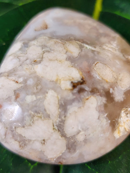 Flower Agate Palm Stone - 2.4"