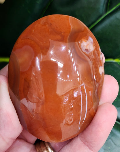 Druzy Carnelian Palm Stone