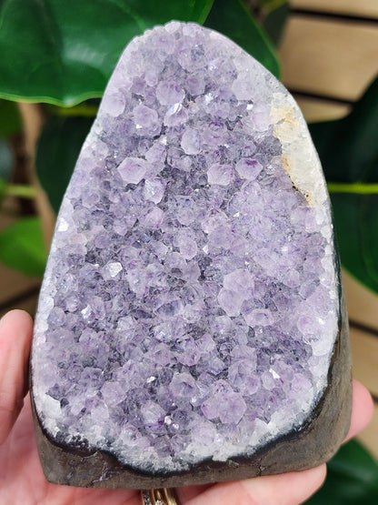 Amethyst Druzy Cut Base - 3.6 inches
