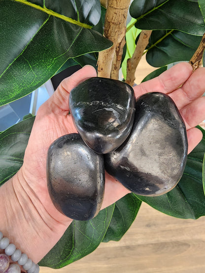 Shungite Large Tumble