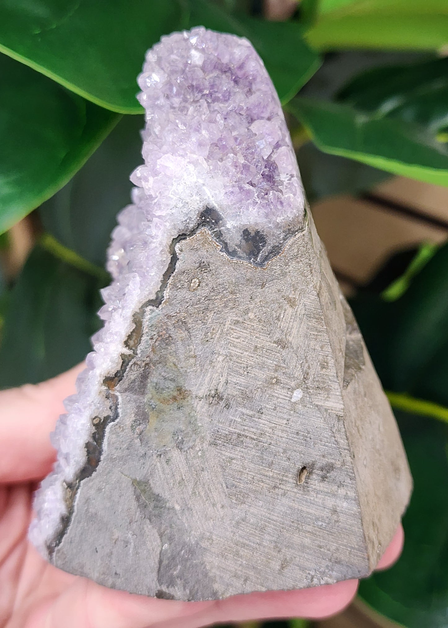 Amethyst Druzy Cut Base - 3.7 inches
