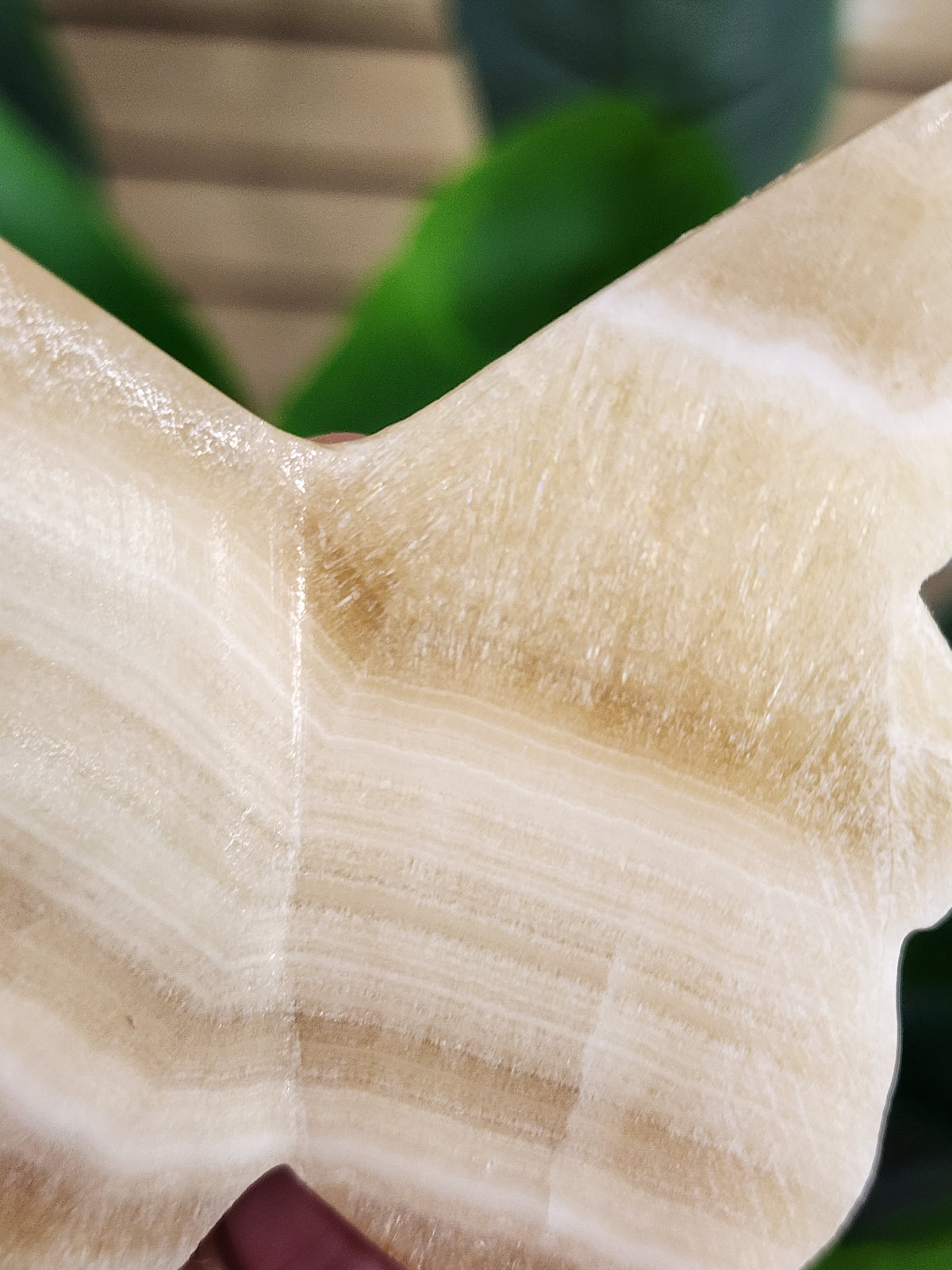Orange Calcite Butterfly - 2.9 inches