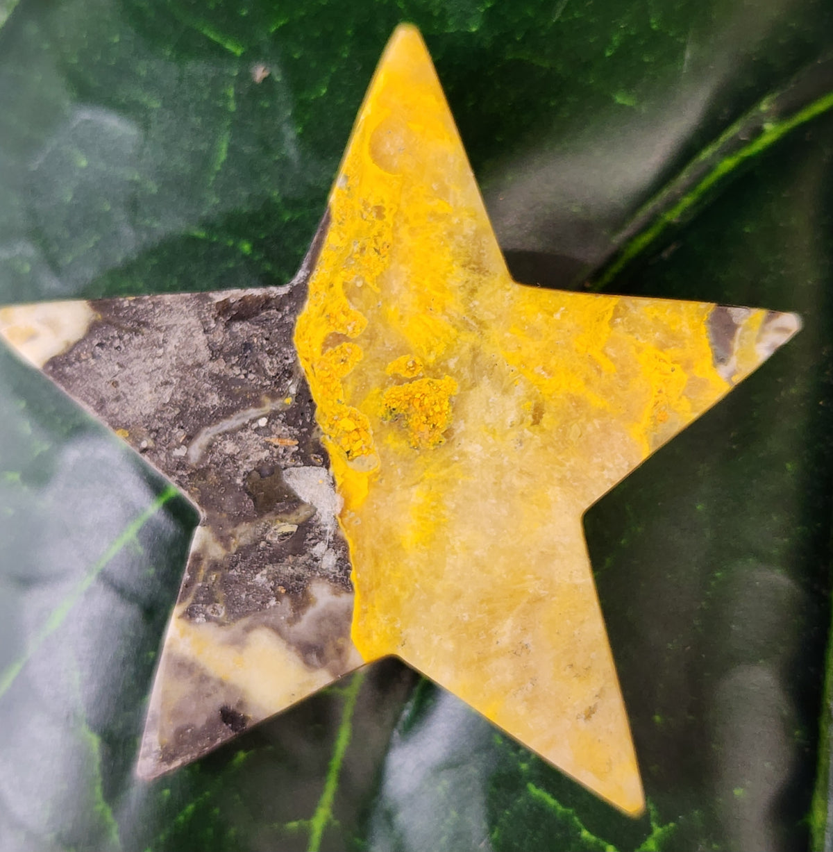 Bumblebee Jasper Star Carving - 1.6"
