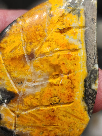 Bumblebee Jasper Leaf Carving - 2.25"