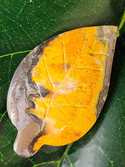 Bumblebee Jasper Leaf Carving - 2.25"