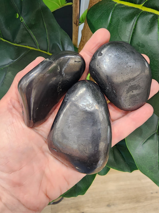 Shungite Large Tumble